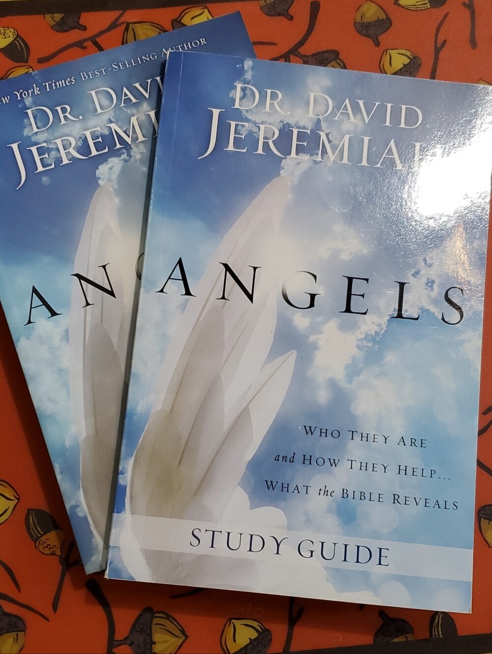 Angels Book And Study Guide by Dr. David Jeremiah